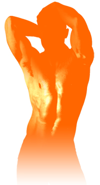 Maca for Men promote blood vessel dilatation and improve blood circulation.